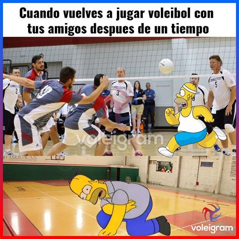 meme de voley